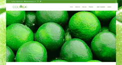 Desktop Screenshot of colimexinc.com